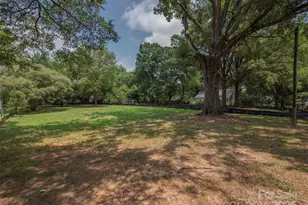 4735 Elder Ave, Charlotte, NC 28205 - Photo 13