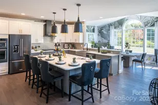 Lot 14 Pinnacle Way, York, SC 29745 - Photo 7