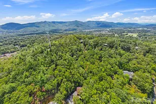 169 Hilltop Rd, Black Mountain, NC 28711 - Photo 37