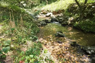 2459 Camp Creek Rd, Union Mills, NC 28167 - Photo 27