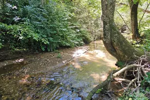 2459 Camp Creek Rd, Union Mills, NC 28167 - Photo 29