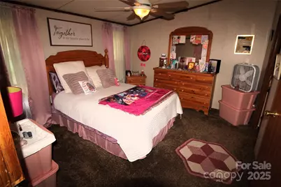 7035 Twin Streams Lane, Clover, SC 29710 - Photo 13