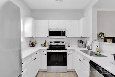 11548 Savannah Creek Drive, Charlotte, NC 28273 - Photo 3