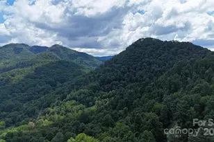 607 Rockytop Trl, Barnardsville, NC 28709 - Photo 9