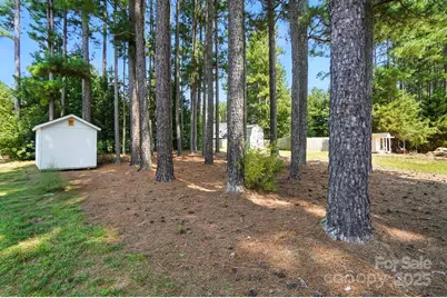 8877 Oldenburg Drive, Mount Pleasant, NC 28124 - Photo 47