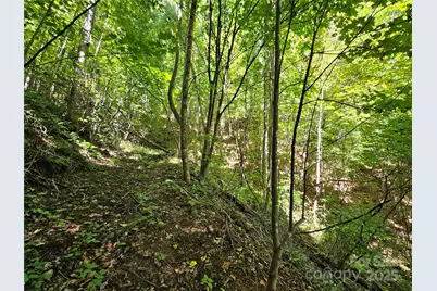 112 Steinwald Trail, Waynesville, NC 28786 - Photo 9