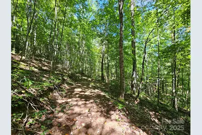 112 Steinwald Trail, Waynesville, NC 28786 - Photo 5