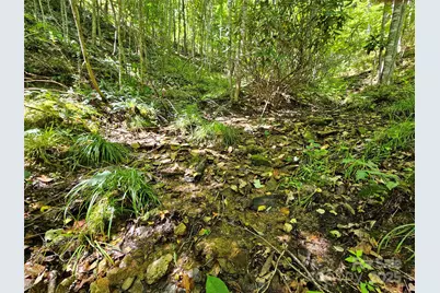 112 Steinwald Trail, Waynesville, NC 28786 - Photo 13