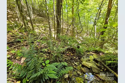 112 Steinwald Trail, Waynesville, NC 28786 - Photo 11