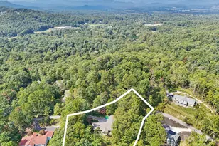 114 Dogwood Trail, Hendersonville, NC 28791 - Photo 45