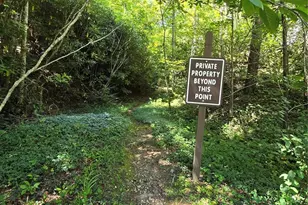 288 Long Ridge Rd, Old Fort, NC 28762 - Photo 47