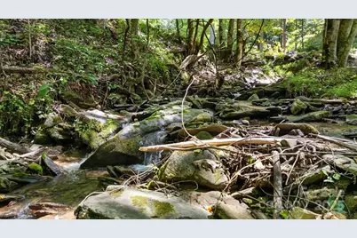 1150 Marr Creek Road, Bryson City, NC 28713 - Photo 5