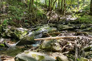 1150 Marr Creek Rd, Bryson City, NC 28713 - Photo 5