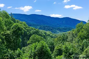 710 Greasy Creek Rd, Bakersville, NC 28705 - Photo 3