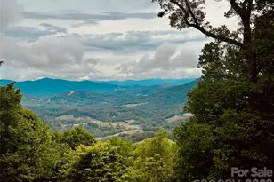 1024 Arrowhead Ridge Rd, Spruce Pine, NC 28777 - Photo 1