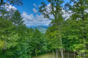 1024 Arrowhead Ridge Rd, Spruce Pine, NC 28777 - Photo 9