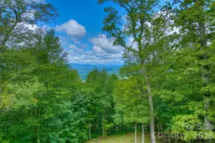 1024 Arrowhead Ridge Rd, Spruce Pine, NC 28777 - Photo 11