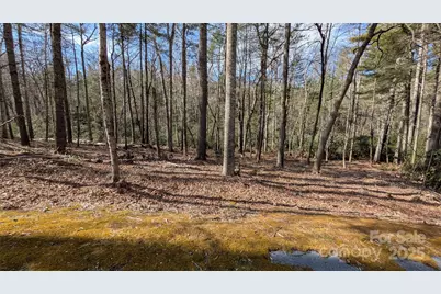 257 Roberts Lane N #7, Flat Rock, NC 28731 - Photo 7