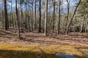 257 Roberts Ln N, Flat Rock, NC 28731 - Photo 7