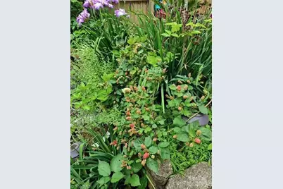 911 Shelby Drive #E, Greensboro, NC 27409 - Photo 31