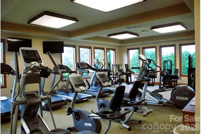 2240 E Cumming Woods Lane, Hendersonville, NC 28739 - Photo 35