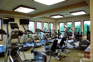 2240 E Cumming Woods Ln, Hendersonville, NC 28739 - Photo 35