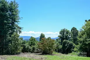 371 Heatherly Heights Rd, Saluda, NC 28773 - Photo 5