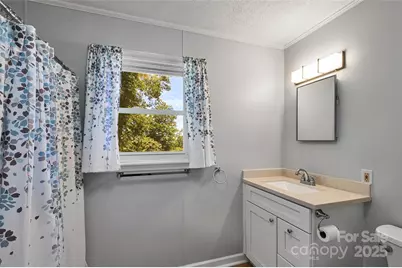 371 Heatherly Heights Road, Saluda, NC 28773 - Photo 21