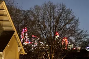 300 Magnolia Ave, Charlotte, NC 28203 - Photo 27