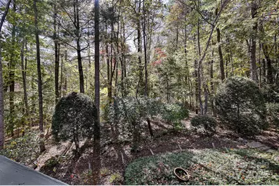 60 S Kuykendall Court, Hendersonville, NC 28739 - Photo 21