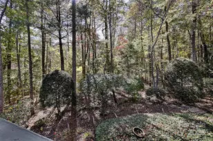 60 S Kuykendall Ct, Hendersonville, NC 28739 - Photo 21