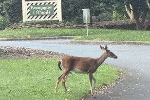 6501 Clavell Ln, Charlotte, NC 28210 - Photo 23