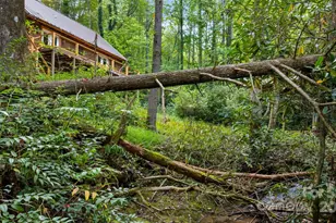 70 Wisteria Ln, Highlands, NC 28741 - Photo 41