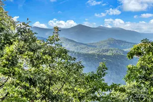 875 Creston Dr, Black Mountain, NC 28711 - Photo 3