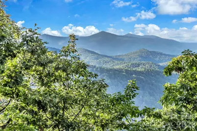 875 Creston Drive, Black Mountain, NC 28711 - Photo 43