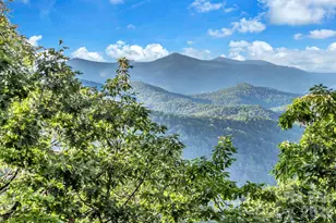 875 Creston Dr, Black Mountain, NC 28711 - Photo 3