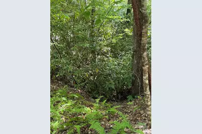 Lot 4 Rosewood Lane, Burnsville, NC 28714 - Photo 7