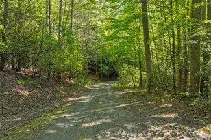 Lot 4 Rosewood Ln, Burnsville, NC 28714 - Photo 3