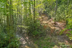 Lot 4 Rosewood Ln, Burnsville, NC 28714 - Photo 5