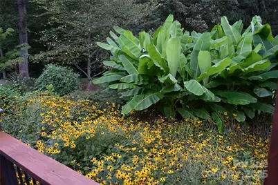 5 Kari Circle, Candler, NC 28715 - Photo 39