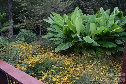 5 Kari Circle, Candler, NC 28715 - Photo 29