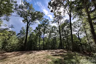 79 Bacon Dr, Bryson City, NC 28713 - Photo 5