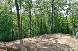 79 Bacon Dr, Bryson City, NC 28713 - Photo 19