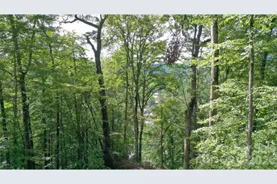 79 Bacon Drive, Bryson City, NC 28713 - Photo 15