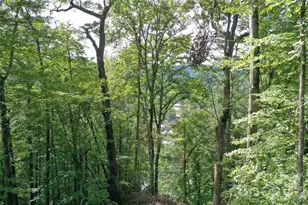 79 Bacon Dr, Bryson City, NC 28713 - Photo 15