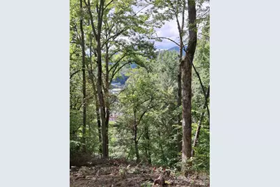 79 Bacon Drive, Bryson City, NC 28713 - Photo 7