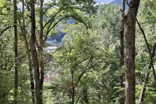 79 Bacon Dr, Bryson City, NC 28713 - Photo 7