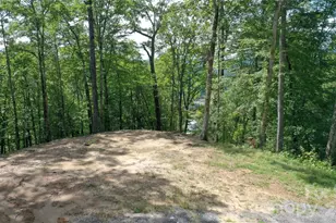 79 Bacon Dr, Bryson City, NC 28713 - Photo 13