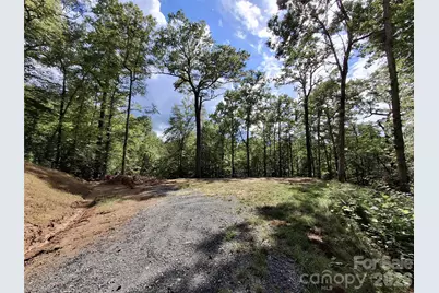 79 Bacon Drive, Bryson City, NC 28713 - Photo 3