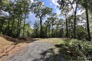 79 Bacon Dr, Bryson City, NC 28713 - Photo 3